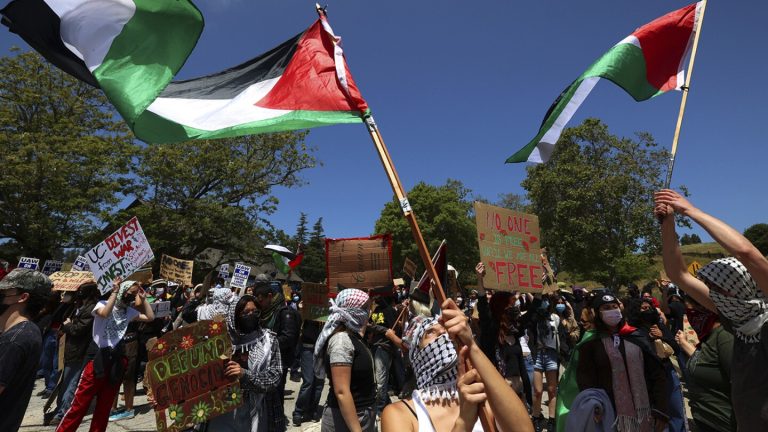 Police with batons approach Israel-Hamas war protesters at UC Santa Cruz