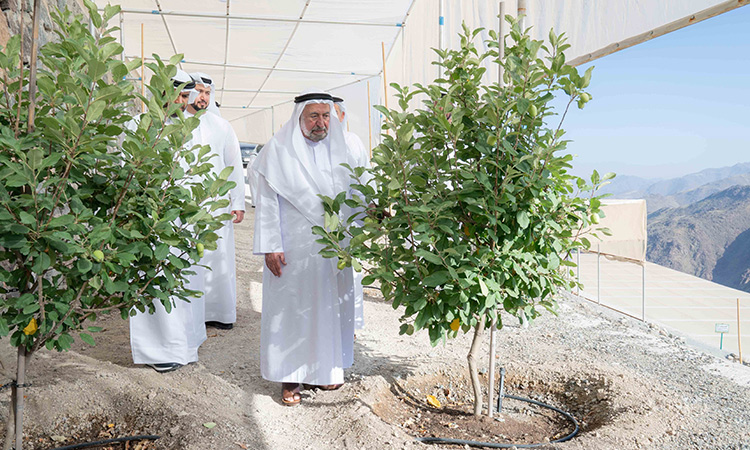 Sheikh Sultan tours 'Above the Clouds' Retreat in Kalba city Sheikh Sultan tours 'Above the Clouds' Retreat in Kalba city of Sharjah