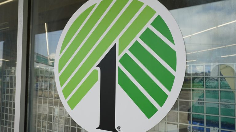 Dollar Tree looking at options for Family Dollar, including possible sale of the segment