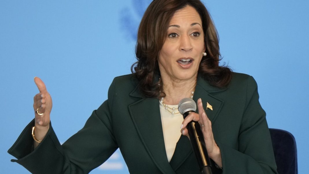 Harris stepping in for Biden at Ukraine summit as she Harris stepping in for Biden at Ukraine summit as she takes growing role in heat of 2024 campaign