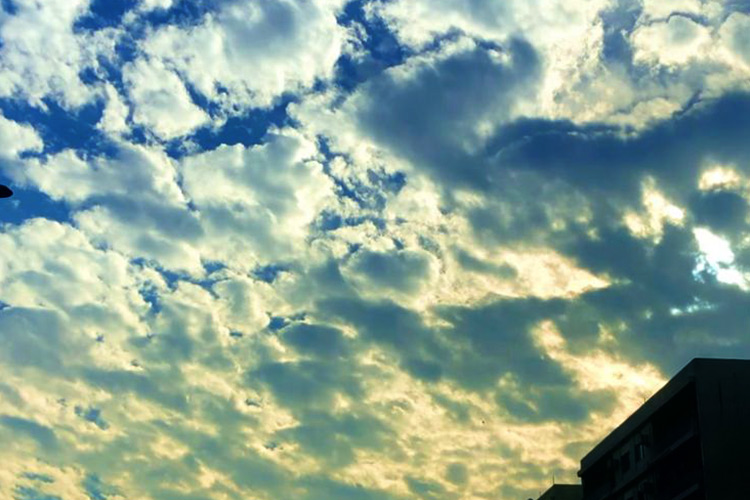 NCM predicts light rain on the first day of Eid NCM predicts light rain on the first day of Eid Al Adha