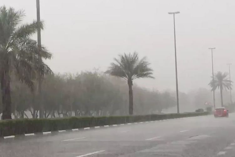 Parts of UAE witness light rain, lowest temperature recorded at Parts of UAE witness light rain, lowest temperature recorded at 23°C
