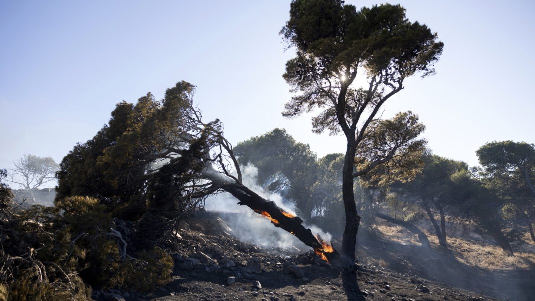 Firefighters tackle blazes on Greek islands of Chios and Kos as premier warns of ‘dangerous summer’