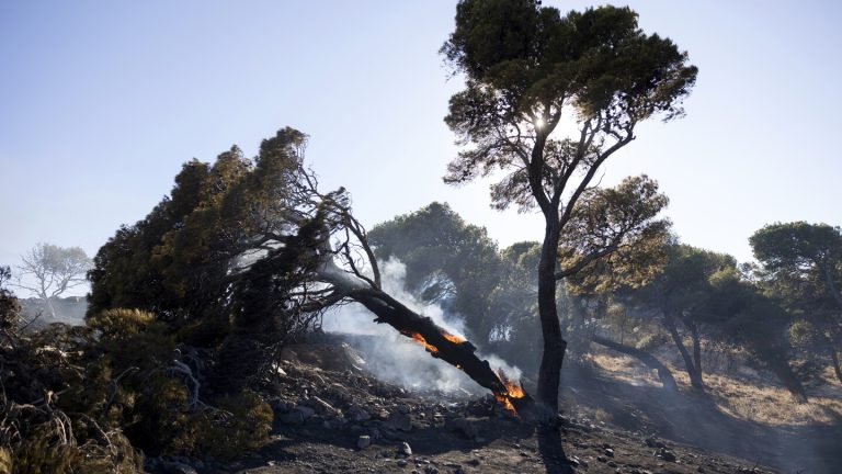 Firefighters tackle blazes on Greek islands of Chios and Kos as premier warns of ‘dangerous summer’