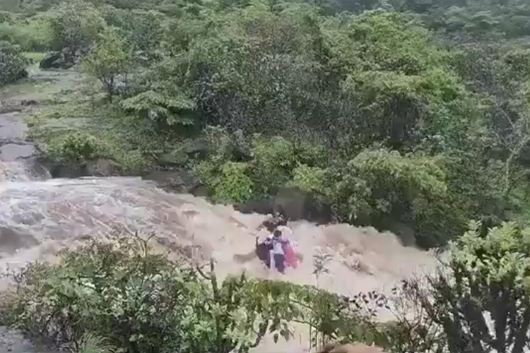 VIDEO: Family of 7 swept away in waterfall near Mumbai VIDEO: Family of 7 swept away in waterfall near Mumbai