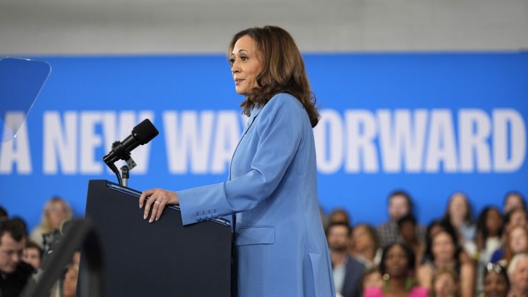 Harris campaign reserves $370M in ads after Labor Day, including battleground state push