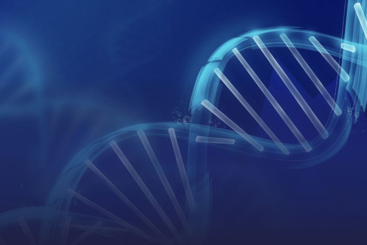 Abu Dhabi includes genetic testing in pre-marital tests for Emiratis Abu Dhabi includes genetic testing in pre-marital tests for Emiratis starting Oct.1