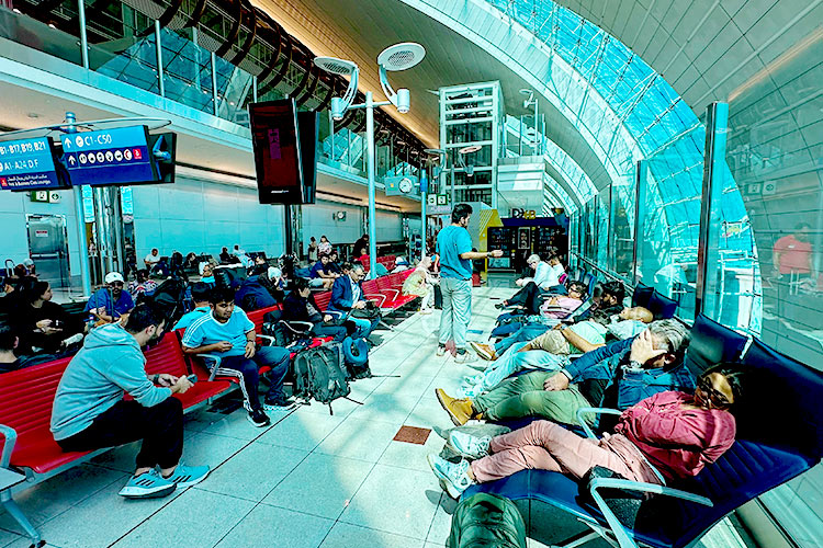 Amnesty seekers who have rectified their visa status can return Amnesty seekers who have rectified their visa status can return to UAE any time