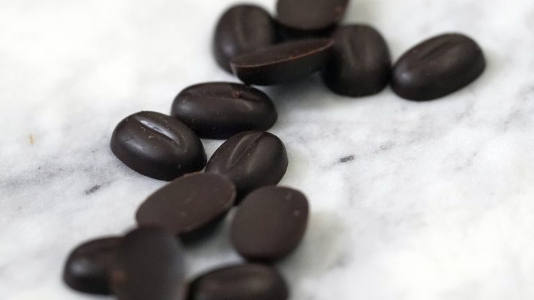 Chocolate’s future could hinge on success of growing cocoa not just in the tropics, but in the lab