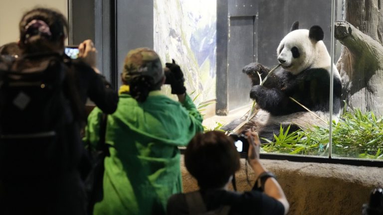 Japanese fans bid farewell to beloved panda pair before their return to China
