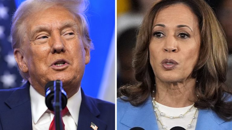 Raise taxes on the rich or cut them? Harris, Trump differ on how to boost the US economy