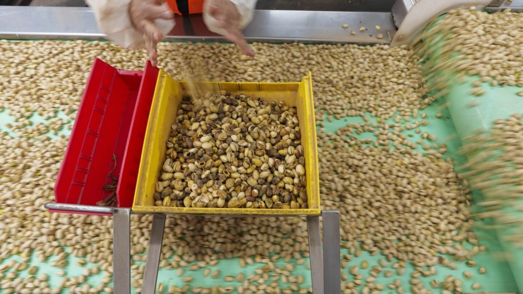 California farmers enjoy pistachio boom, with much of it headed California farmers enjoy pistachio boom, with much of it headed to China