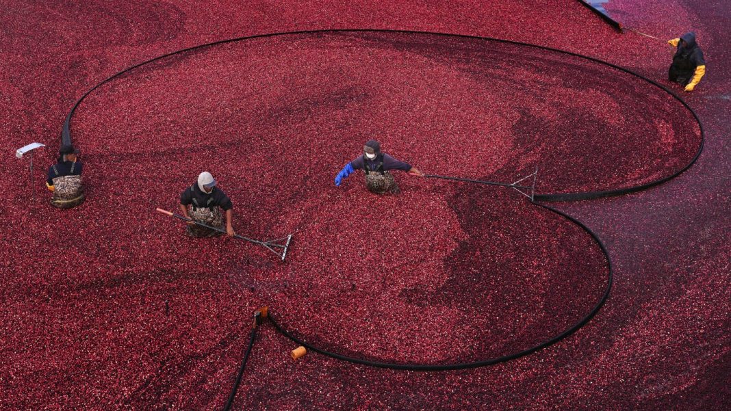 US wholesale inflation picks up slightly in sign that some US wholesale inflation picks up slightly in sign that some price pressures remain elevated